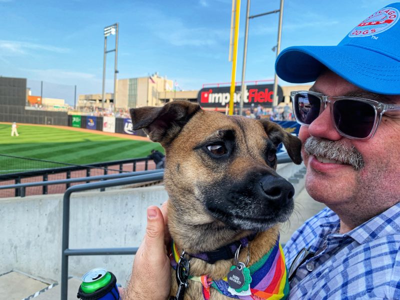 Dog's First Baseball Game