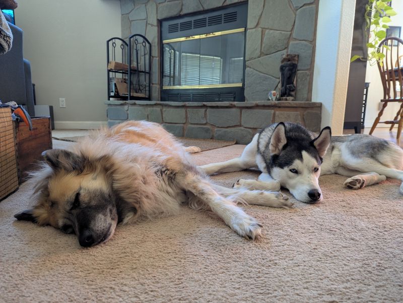 Ellie and Milo