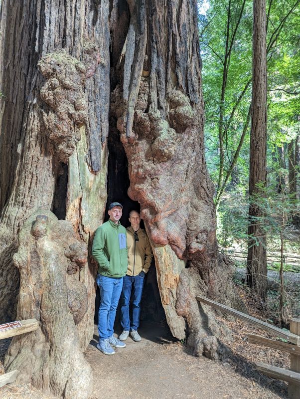 Exploring The Redwood Forest