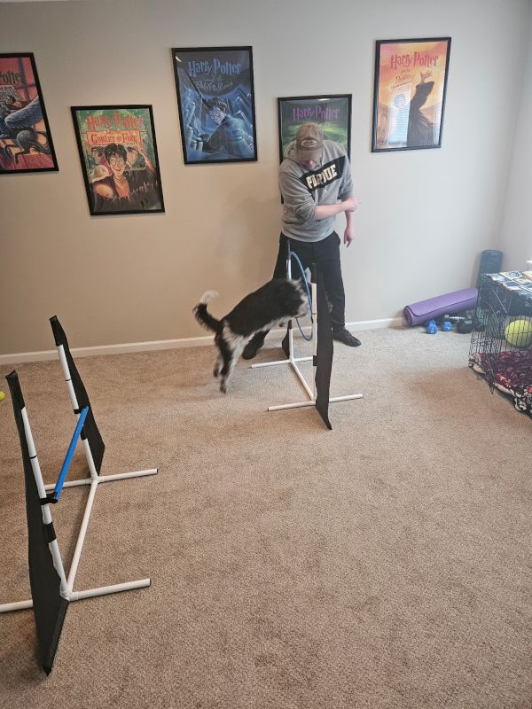 Josh Training Artemis