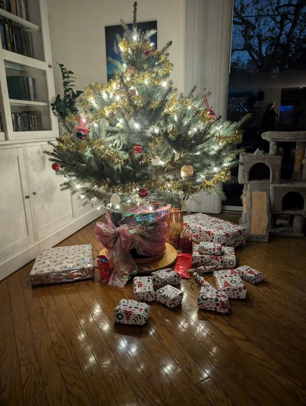 Merry Christmas!
