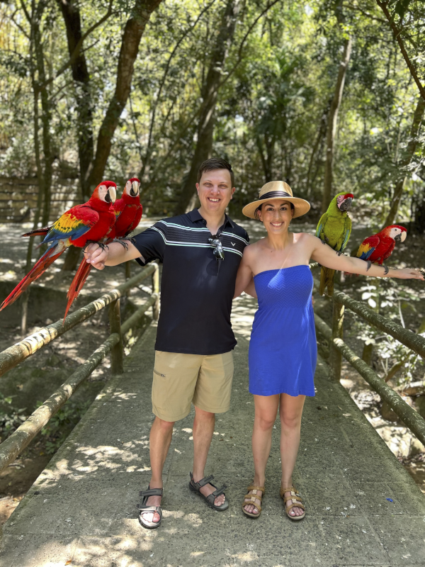 Bird Interactions in Honduras