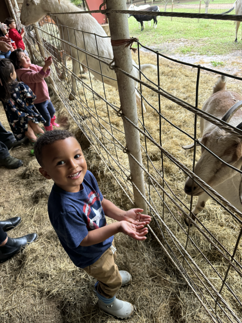 Matteo at the Petting Zoo