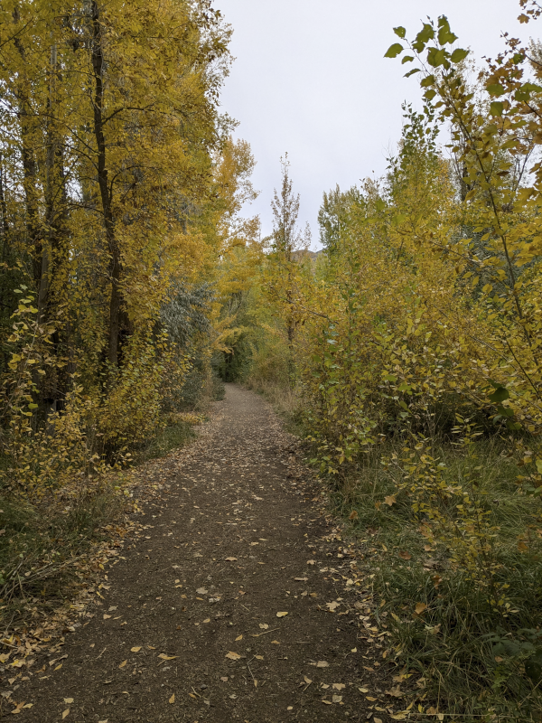Walking the Nature Trail Near Home