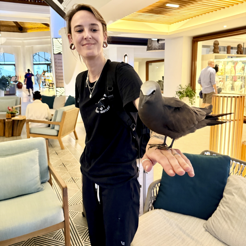 Kae Holding a Bird on Our Honeymoon in Tahiti